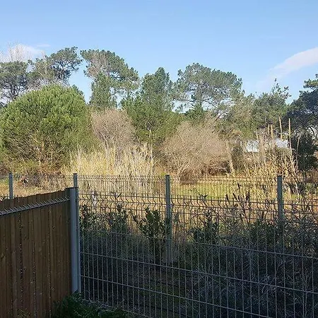 Studio Calvi 100m De La Plage + Parking Calvi (Corsica)