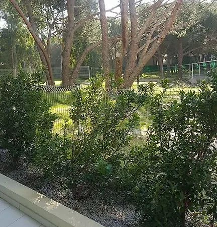 דירה Studio Calvi 100m De La Plage + Parking *